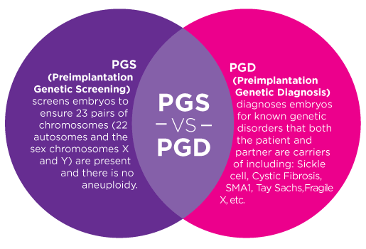 Preimplantation Genetic Diagnosis Pgs Testing Pgd Testing